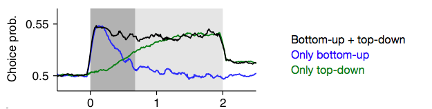 Modelling choice probability dynamics in visual decision-making – DonnerLab